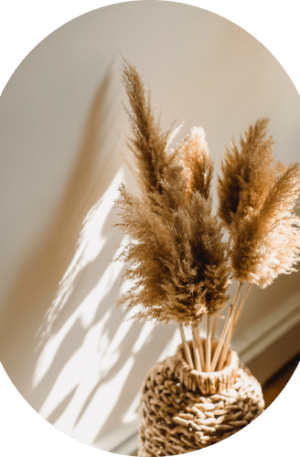Parlor Palm